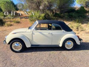 Copie de TEMPLATE SITE WEB (15)