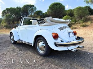 Copie de TEMPLATE SITE WEB (15)