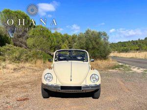 Copie de TEMPLATE SITE WEB (17)