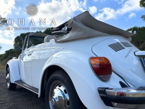 Copie de TEMPLATE SITE WEB (17)