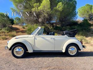 Copie de TEMPLATE SITE WEB (19)