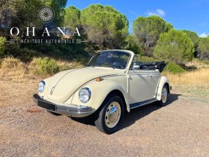 Copie de TEMPLATE SITE WEB (21)