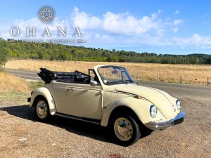 Copie de TEMPLATE SITE WEB (23)