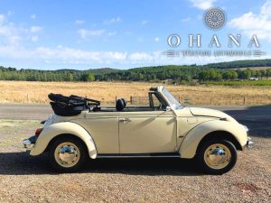 Copie de TEMPLATE SITE WEB (25)