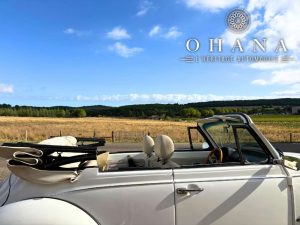 Copie de TEMPLATE SITE WEB (25)