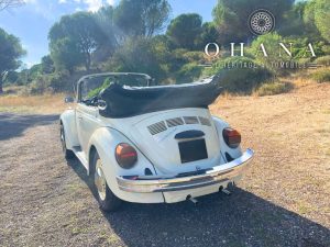 Copie de TEMPLATE SITE WEB (27)