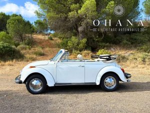 Copie de TEMPLATE SITE WEB (29)