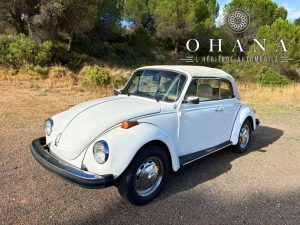 Copie de TEMPLATE SITE WEB (3)