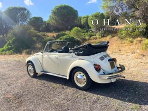 Copie de TEMPLATE SITE WEB (31)