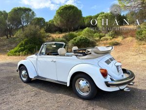 Copie de TEMPLATE SITE WEB (31)