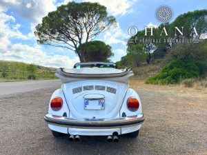 Copie de TEMPLATE SITE WEB (33)