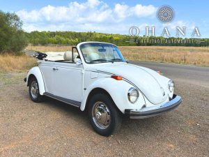 Copie de TEMPLATE SITE WEB (35)