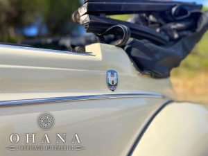 Copie de TEMPLATE SITE WEB (37)