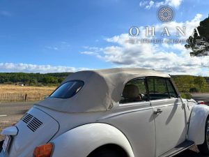 Copie de TEMPLATE SITE WEB (5)