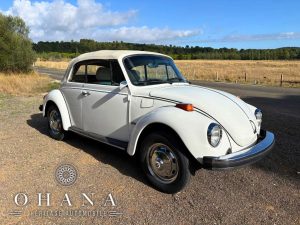 Copie de TEMPLATE SITE WEB (7)