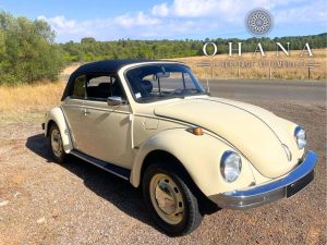 Copie de TEMPLATE SITE WEB (9)