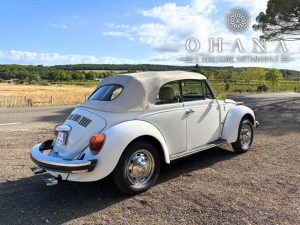 Copie de TEMPLATE SITE WEB (9)