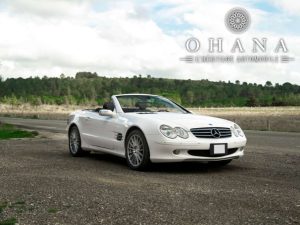 TEMPLATE SITE WEB 600 SL