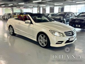 TEMPLATE SITE WEB (17)