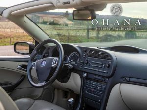 TEMPLATE SITE WEB Saab 93